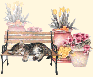 Śpiący kotek na ławce i kwiaty w wazonie